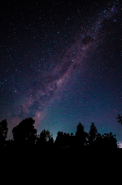 The shadow the leaves of the tree under the starry night
